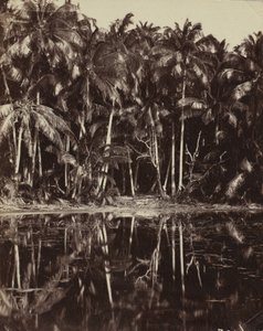 Tetiaroa - Un lagon des Paumotu, années 1880 ou 1890
