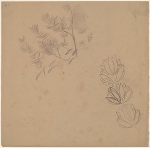 Étude pour une bordure avec un croquis d