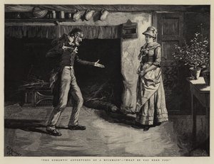 Les aventures romantiques d