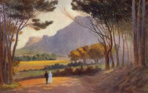 Péninsule du Cap, Afrique du Sud : Alphen - Charles Stephen Meacham