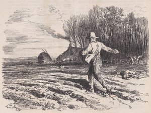 Semer des graines, du Magasin Pittoresque, mai 1857 - Charles Tamisier