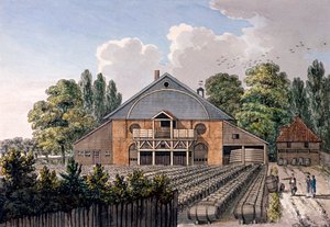 Les jardins de Cuper, Lambeth, Londres, 1801
