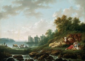 Château de Caernarvon - Charles Towne
