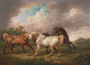 Trois chevaux dans un paysage orageux - Charles Towne