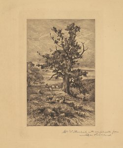 Paysage avec des moutons - Charles Volkmar