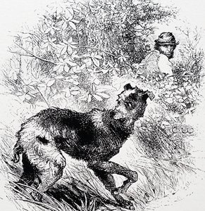 Un braconnier avec son lévrier - Charles Whymper