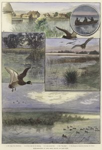 Chasse au canard à Long Point Island - Charles Whymper