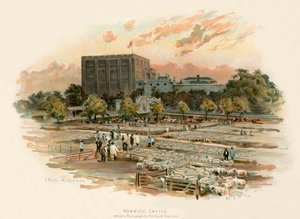 Château de Norwich