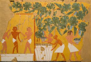 Vinification, tombe d