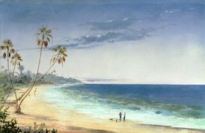 Paysage cubain, 1866