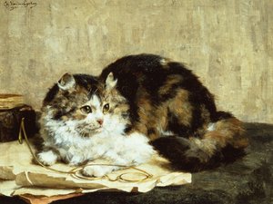 Un chat tigré - Charles van den Eycken