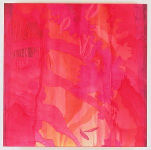 Mascarene Maya, 2000