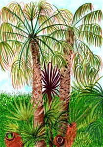 Palmiers de Barcelone - Charlotte Orr