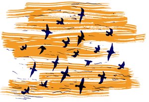 Oiseaux en vol