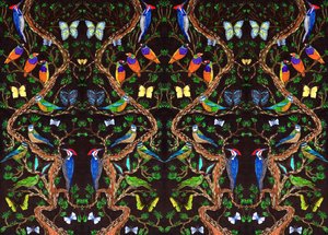 Oiseaux et papillons, 2019