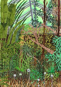 Jardin botanique, 2017 - Charlotte Orr