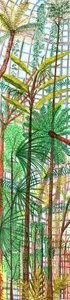 Jardin botanique, 2017 - Charlotte Orr