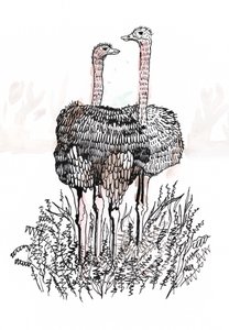 Flamants roses, 2018 - Charlotte Orr