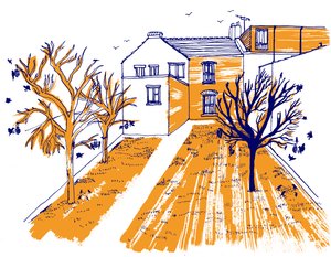 Jardin - Charlotte Orr