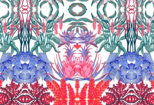 Jungle Jim, 2015 - Charlotte Orr