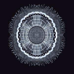 Cellule Végétale 0.2 - Charlotte Orr