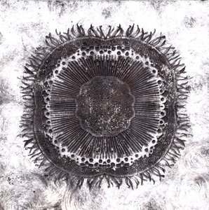 Cellules végétales, 2019 - Charlotte Orr
