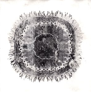 Cellules Végétales - Charlotte Orr