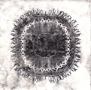 Cellules végétales, 2019 - Charlotte Orr