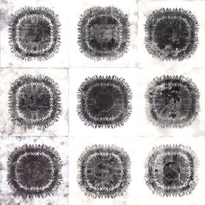 Cellules végétales, 2019 - Charlotte Orr