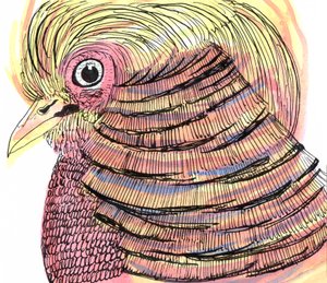 Oiseau tropical, 2018 - Charlotte Orr