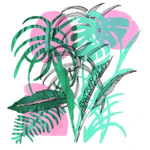Plantes tropicales, 2018