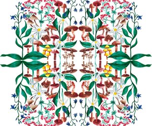 Plantes Sauvages - Charlotte Orr