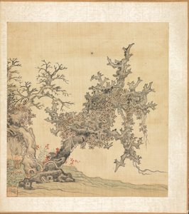 Un arbre ancien