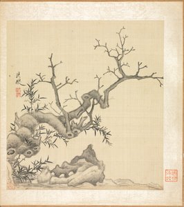 Roche, vieil arbre et bambou