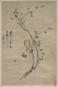Une branche coupée de prunier en fleurs