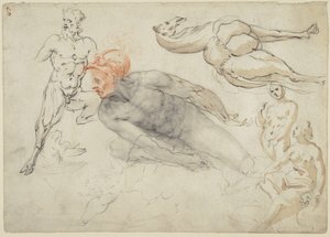 Études de nus masculins et féminins, d