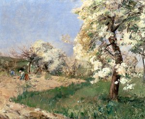 Fleurs de Poirier, Villiers-de-Bel