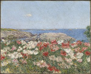 Coquelicots sur les îles de Shoals