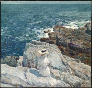 Les falaises sud, Appledore