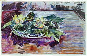 Tulipes dans un Bol