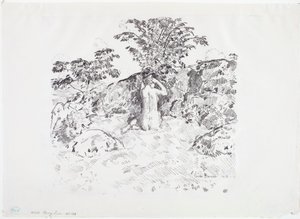 Cerisier sauvage