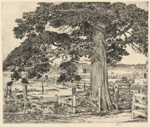 Grand Cèdre, Wainscott, L. I., 1929 - Childe Hassam