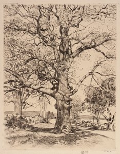 Wayside Inn Oaks à Spring - Childe Hassam