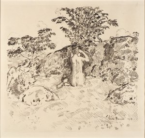 Cerisier sauvage