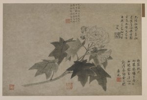 Branche de pivoine arbustive, possiblement dynastie Qing
