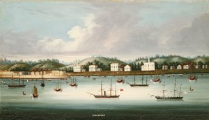 Vue de Singapour depuis les routes avec des navires américains, français et britanniques, c.1850 - Chinese School