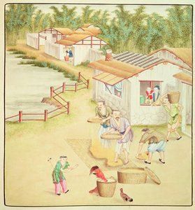 Paysans chinois tamisant du riz - Chinese School