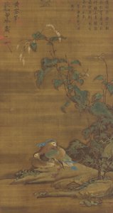 Canards mandarins sous des renouées, dynastie Ming ou Qing, XVe-XVIIIe siècle