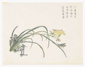 Jardin de graines de moutarde - Chinese School