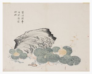 Jardin de graines de moutarde - Chinese School